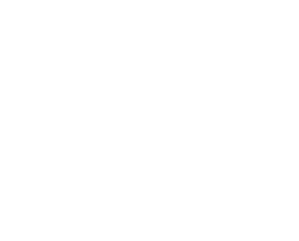 HALLIBURTON HALLIBURTON